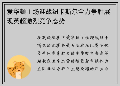 爱华顿主场迎战纽卡斯尔全力争胜展现英超激烈竞争态势