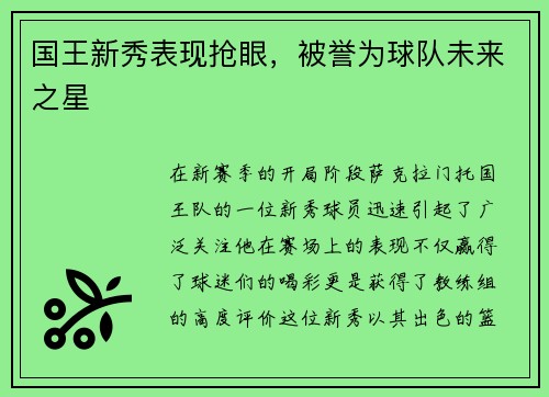 国王新秀表现抢眼，被誉为球队未来之星